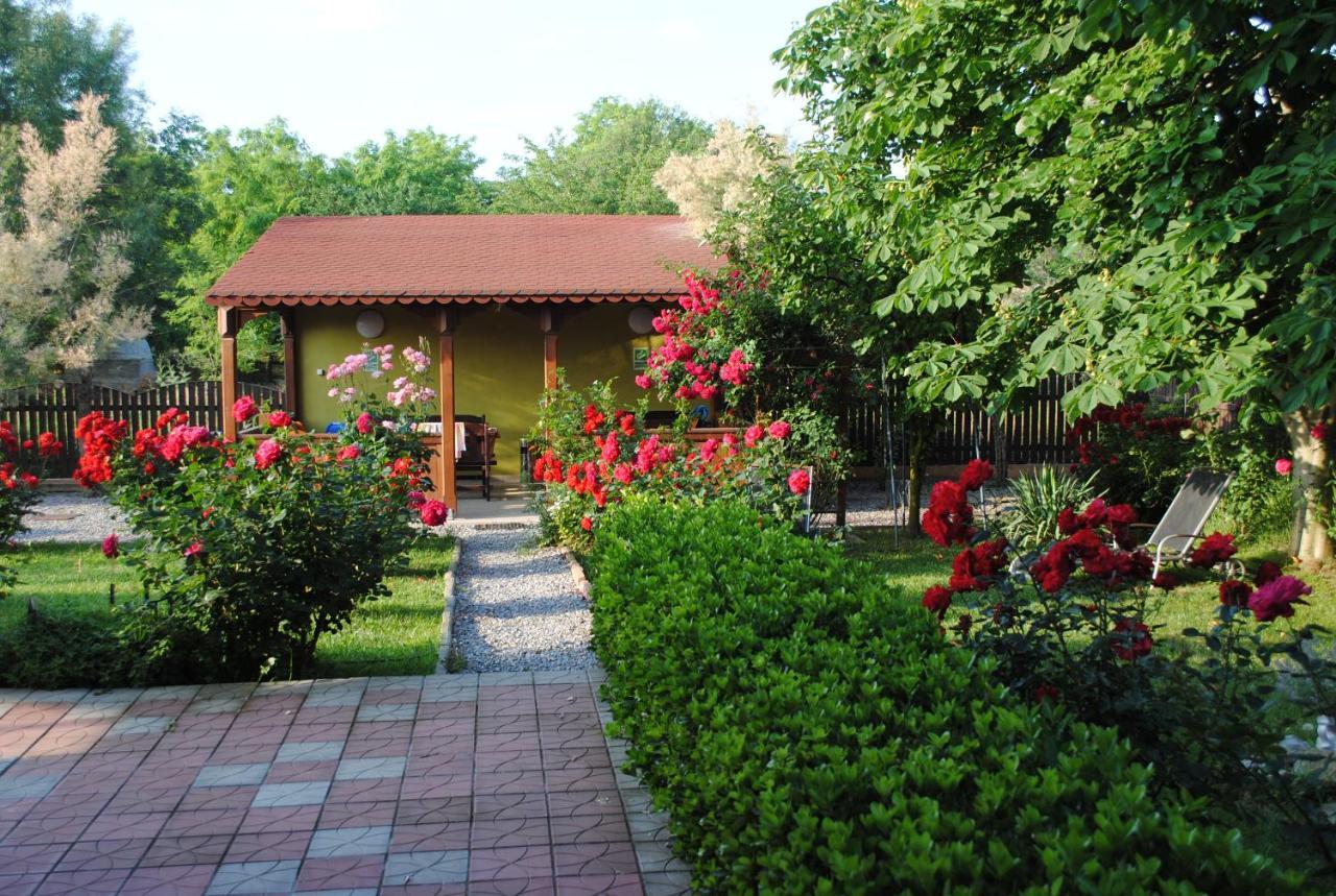Vila Delta Travel - Mila 23 Mila Douăzeci şi Trei 외부 사진